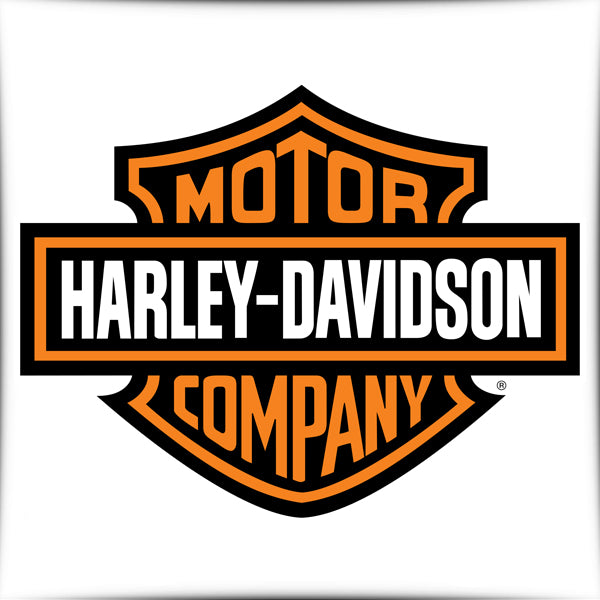 Amortisseurs Harley Davidson