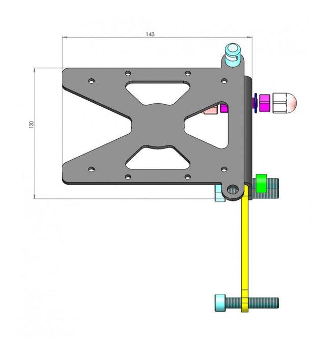 Support de plaque latéral Indian FTR 1200