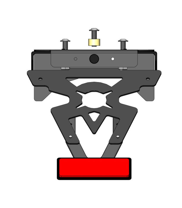 Support de plaque Kawasaki W650