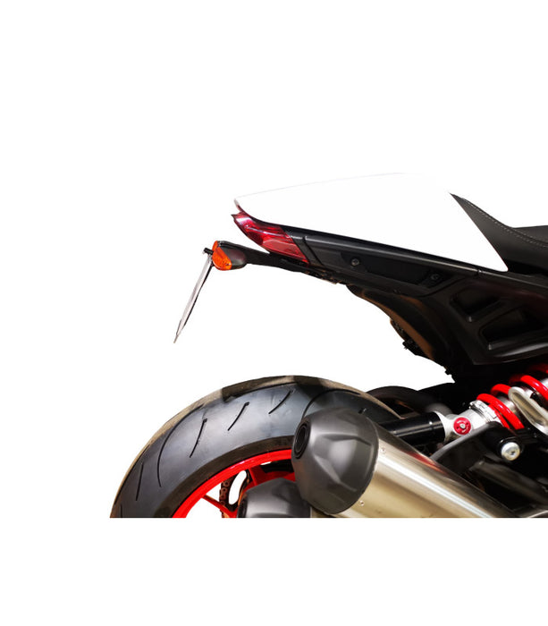 Support de plaque Indian FTR 1200 SPORT