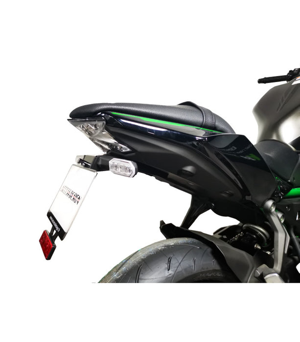 Support de plaque Kawasaki Z650