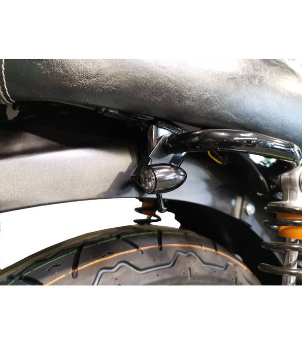 Support de plaque Kawasaki W800