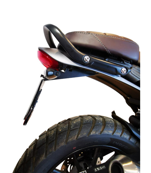 Support de plaque Triumph Speed Twin 400