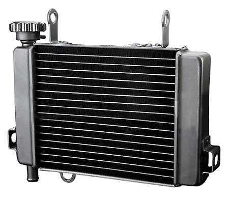 Radiateur d'Eau HONDA CBR 125 (04-10)