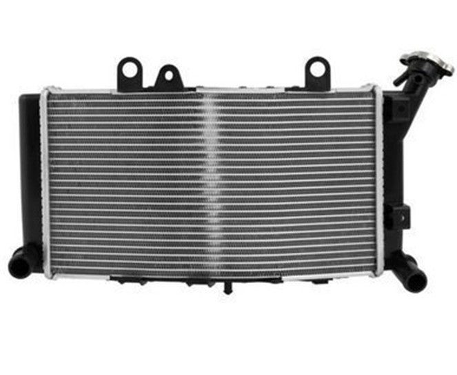 Radiateur d'Eau BMW F 850 GS (2019-2023)