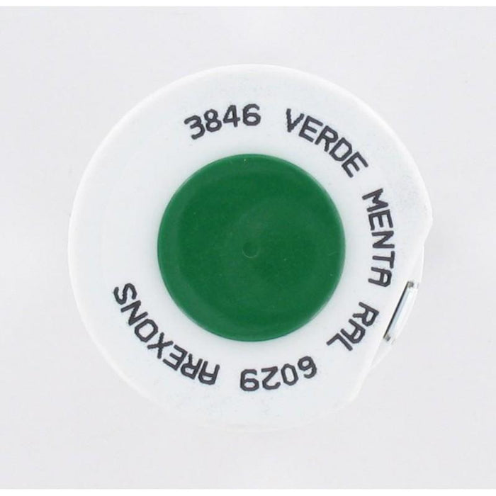 Bombe de peinture spécial métaux Vert menthe brillant RAL 6029 - 400 ml
